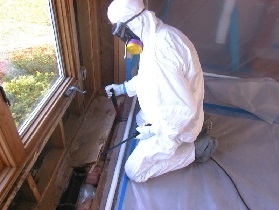 removing mould from windows